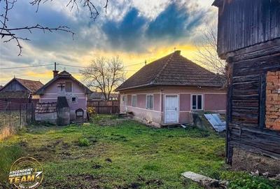 FILM! Gospodarie cu atmosfera traditionala,1.032 mp de verde si gradinarit, Sanz - 5