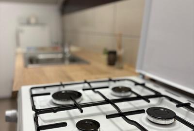 Apartament 2 Camere/D. Tatarasi Penta - 12