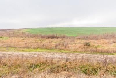 CERNICA - POSTA - TEREN INTRAVILAN CONSTRUCTII 15000 MP! - 4