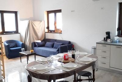 2 camere parter dumbravita investitie - 5