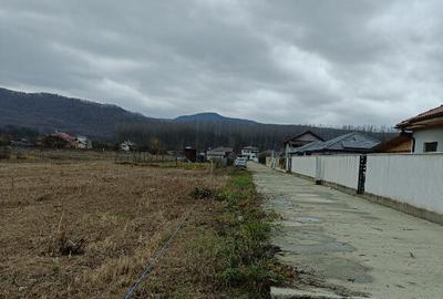 Vanzare teren intravilan 4 loturi/500mp fiecare comuna Bujoreni - 2