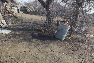 Casă cu Teren 2129 Mp în Vlădeni - 4