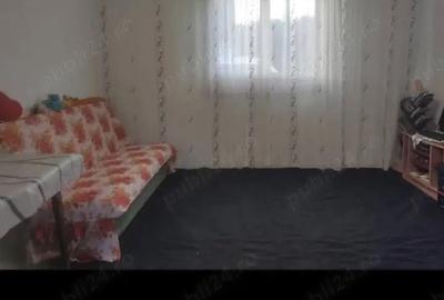 Casă cu 3 camere în Ohaba Română - 1