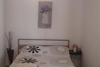 Apartament cu 2 camere semidecomandat în Bălcescu - 3