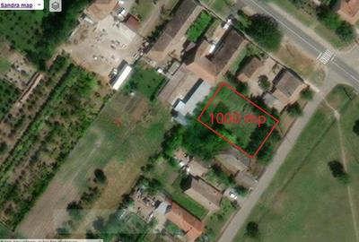 Teren de 10000 mp, în Șandra - 3