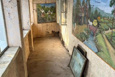 Vand casa batraneasca - 3