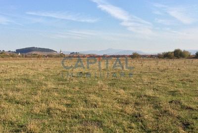 Teren de vanzare extravilan, Sanpetru - 4