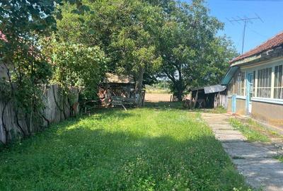 Spațiu comercial, în Ciolpani - 3