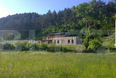 Casa individuala la rosu, 247 mp, teren 5000 mp in Surduc - 1