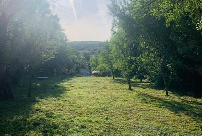 Casa de vanzare zona superba si linistita - 9