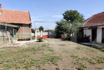 Casa mare cu gospodarie completa Belin?, jude?ul Timi? teren 4.900 mp - 3