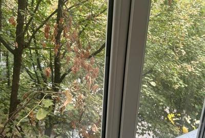 Apartament cu 4 camere decomandat, mobilat în Mihai Bravu - 11