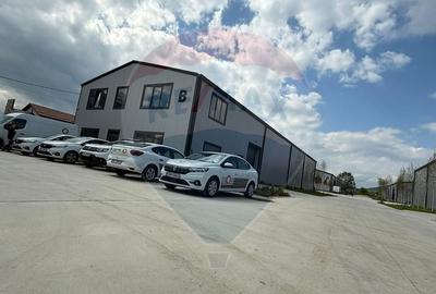 Spatiu industrial Hale 4+2 depozit logistic, birouri premium Aninoasa - 3