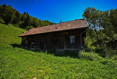 FILM! Casa cu farmec autentic armonizata de 4.300 mp teren,Bran,Simon,Brasov - 19