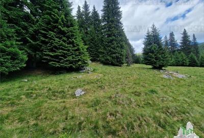Teren intravilan de vanzare Padina/ Muntii Bucegi - 5