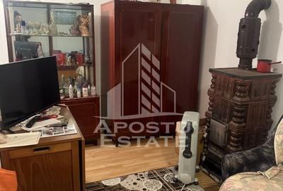 Casa individuala cu teren mare in Remetea Mare - 16