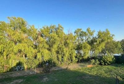 Teren de Straulesti Teren de Straulesti - 2