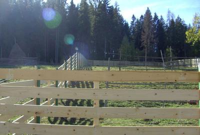 Teren de 1000 mp, în Lunca - 2