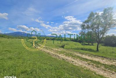 Teren de 2600 mp, în Chirpăr - 6