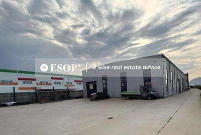 Spațiu comercial, de 1,950 mp, în Chitila - 9