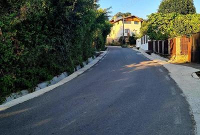 Teren Intravilan 3250 mp / Casa batraneasca / Pausesti Maglasi - 2