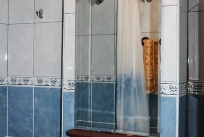 Inchiriez apartament 2 camere vizavi Auchan Vitan - 3