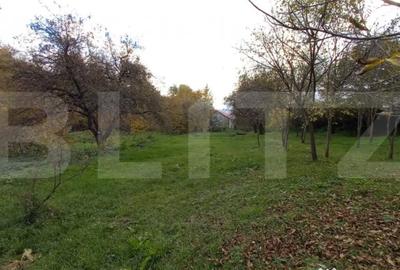 Teren de 2000 mp, în Ciurila