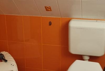 Iancului , Vatra Luminoasa - 12