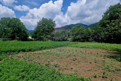 Teren intravilan 1000 mp Vii?oara, utilita?i - 14