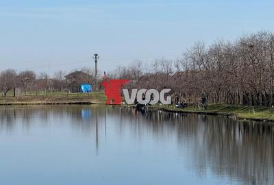 Spațiu comercial, de 19,400 mp, în Peciu Nou - 2