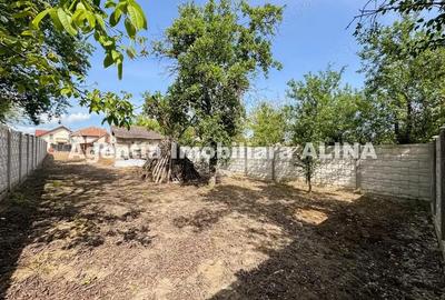 Casă cu 3 camere în Criș - 11