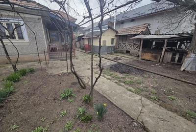 Casă cu Teren 1400 Mp în Dumitrești - 3