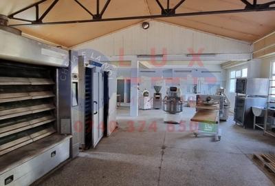 ID 6113 Cladire de vanzare - Str FORESTIERULUI - 6