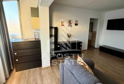 Apartament 2 camere spatios , pet friendly (fara caine) , Lipovei - 3