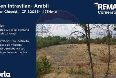 Teren de 4734 mp, în Bârla - 3