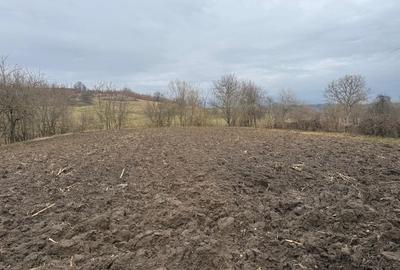 Casă individuală cu 4 camere cu Teren 2800 Mp în Criciova - 1