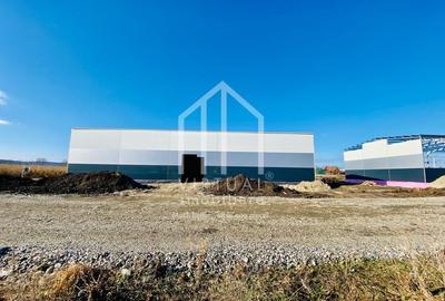 Spațiu industrial, de 528 mp, în Vest - 2