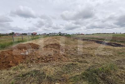 Teren intravilan in Cheriu foarte aproape de inelul metropol - 6