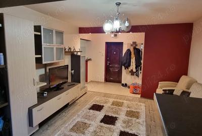 De vanzare apartament recent renovat si amenajat, cu 2 camere in Cartierul Dambu pe Str Ion Buteanu, - 7