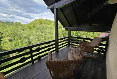 Casă cu 5 camere cu Teren 6842 Mp în Brădetu - 14