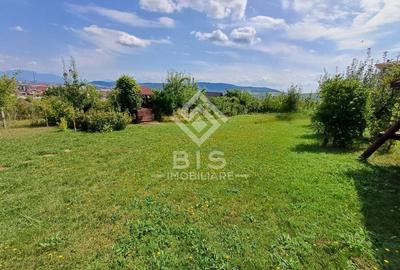 Teren intravilan 983 mp + cabană, curent trifazic,  Zonă linistită - 1