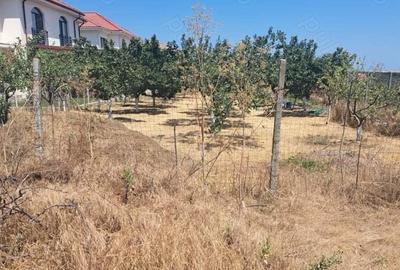 Teren in Lazu pe Strada Pasunilor - 4