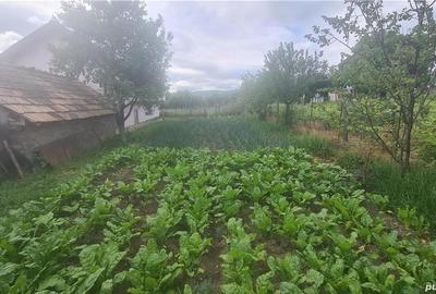 Casă cu Teren 1104 Mp în Poienari - 4