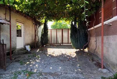 Casă cu 2 camere cu Teren 4600 Mp în Calea Mare - 1