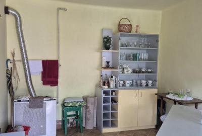 Somcuta Mare, casa 9 ari teren - 3