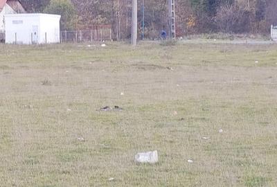 Spațiu comercial, în Bartolomeu - 3