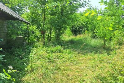 Teren în Central - 12