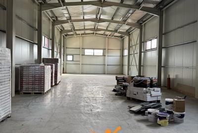 CUG , SPATIU COMERCIAL 300 MP + 2000 MP CURTE - 6