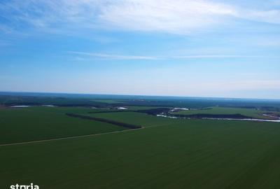 Teren de 1000 mp, în Vasilați - 1