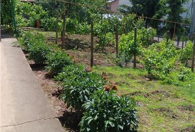 Copou Vila P+M Su.165mp Teren 1000mp vecin cu limita Gradina Botanica - 5